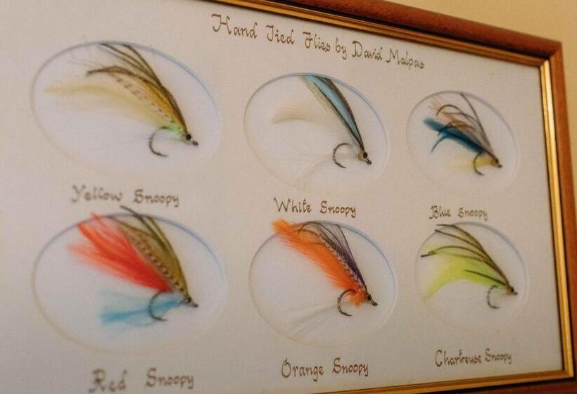 Clareville House B&b