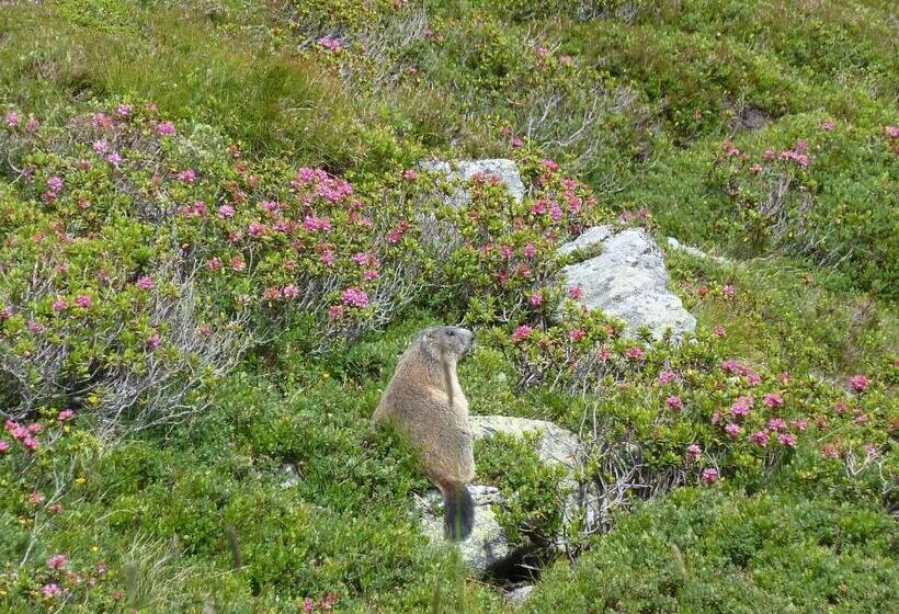 Hotel Gletscherblick