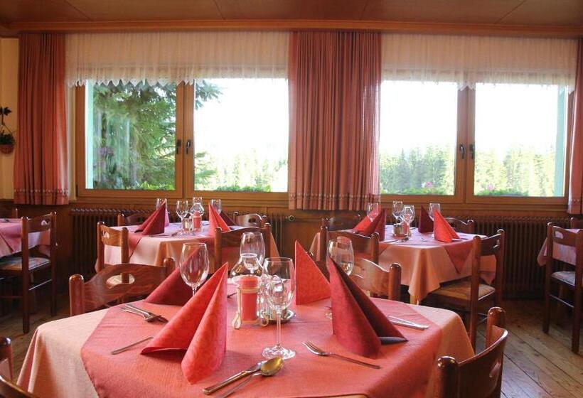 فندق Tischlbergerhof