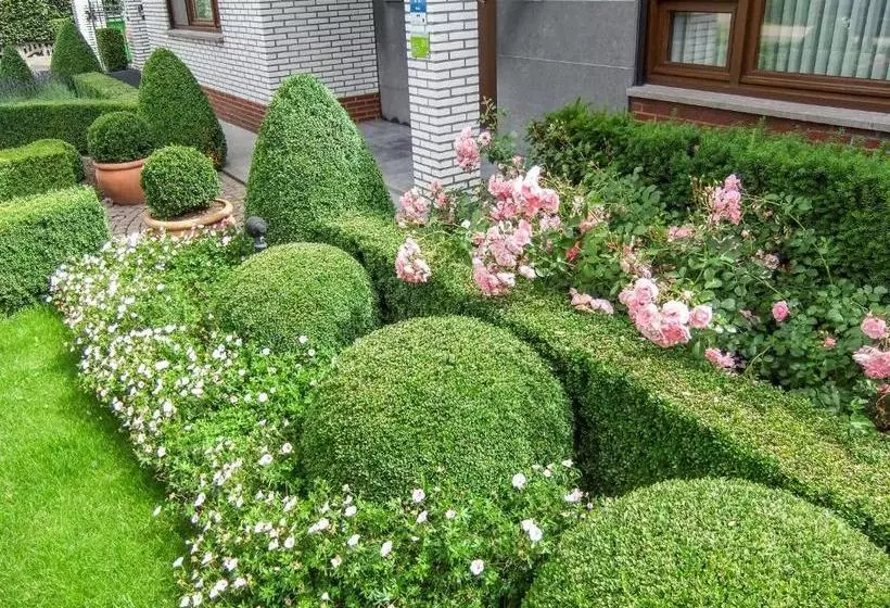 Hotelli Wilgenhof