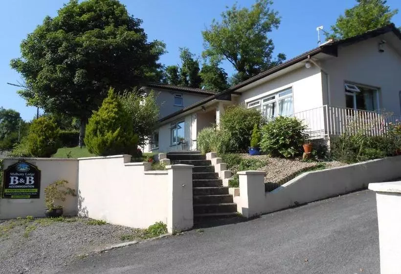 Mulberry Lodge B&b