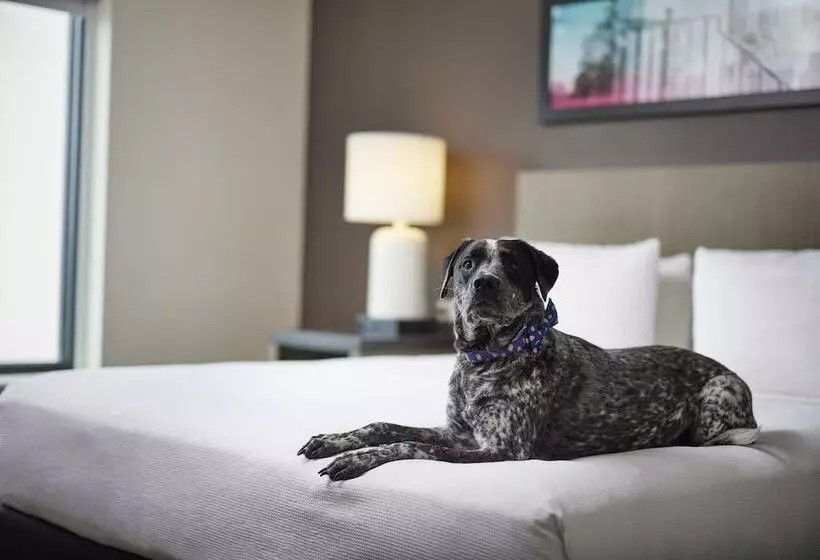 ホテル Hyatt House Denver/downtown