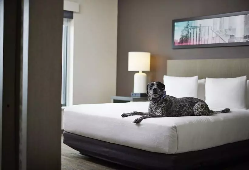 ホテル Hyatt House Denver/downtown