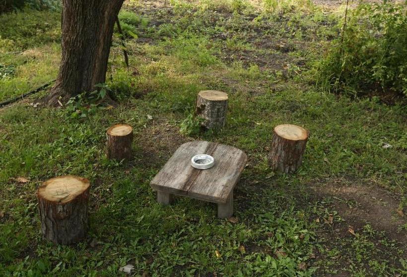 تختخواب و صبحانه Guesthouse   Ashot Shalunts