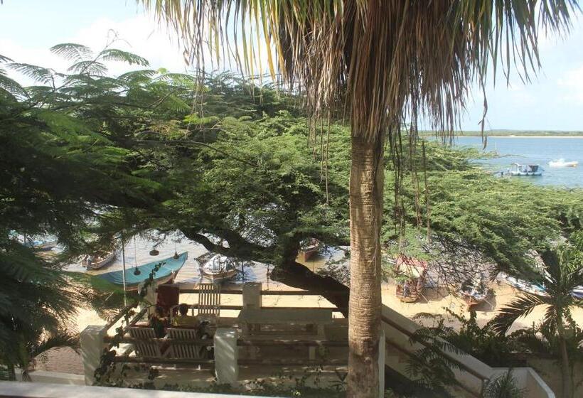 تختخواب و صبحانه Kijani