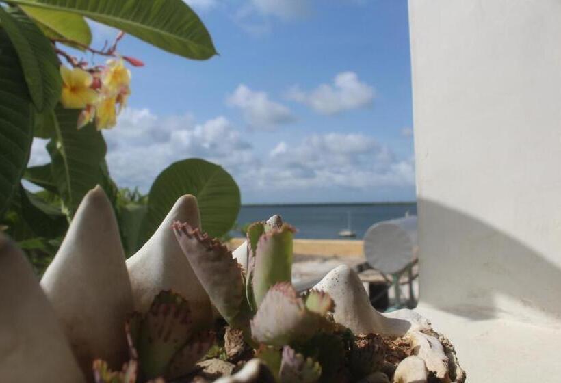 تختخواب و صبحانه Kijani