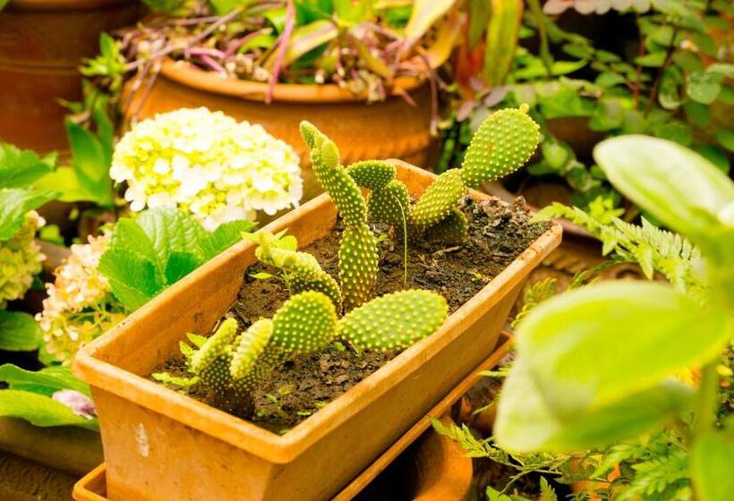 هتل Brackenhurst Conference And Retreat Centre