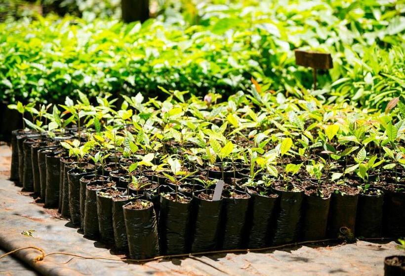 هتل Brackenhurst Conference And Retreat Centre