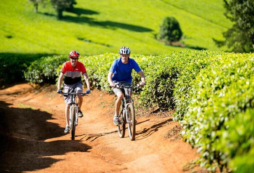 هتل Brackenhurst Conference And Retreat Centre