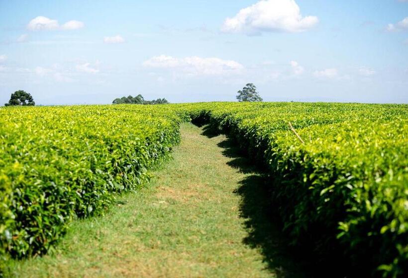 هتل Brackenhurst Conference And Retreat Centre