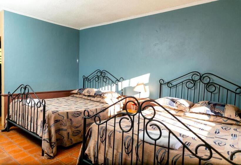 هتل Brackenhurst Conference And Retreat Centre