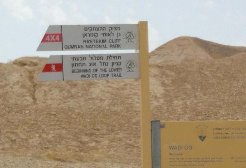 בית מלון כפרי Almog Kibbutz