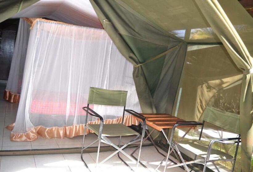 酒店 Impala Safari Lodge