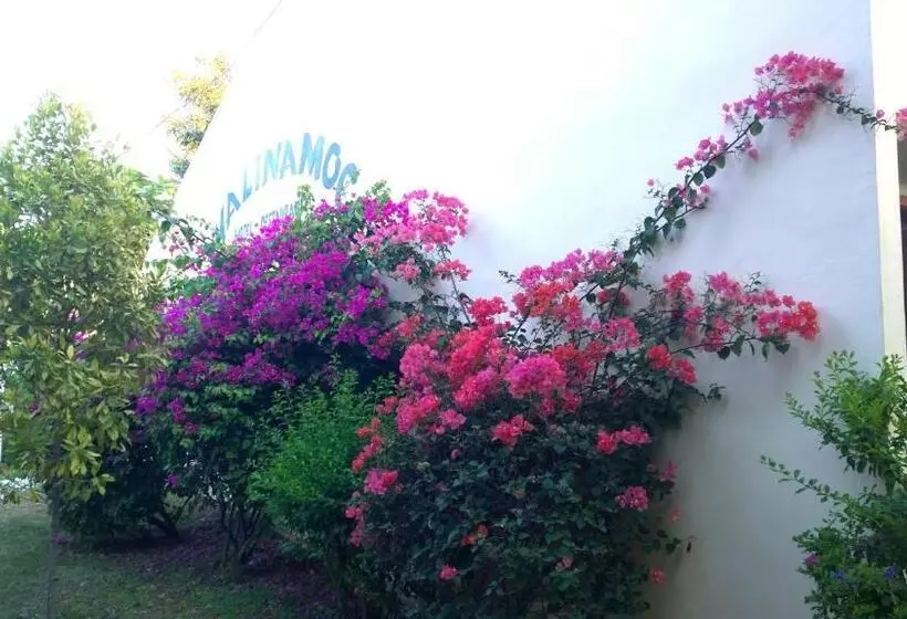 استراحتگاه Palm Malinamoc