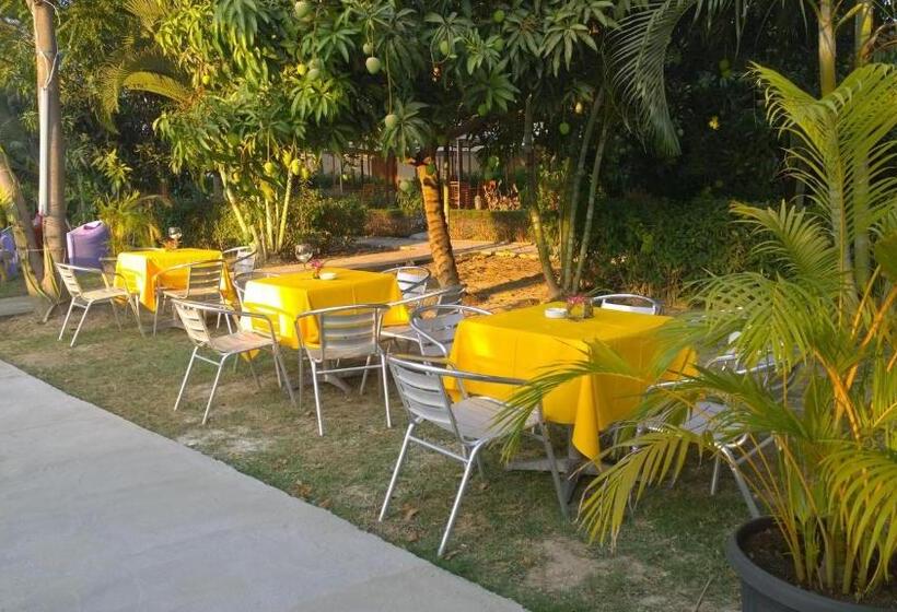 Resort Palm Malinamoc