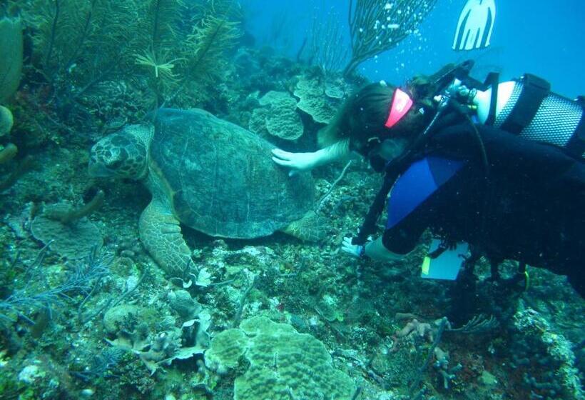 St. George's Caye Resort