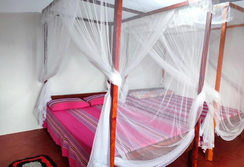 فندق Summer House Surf Inn