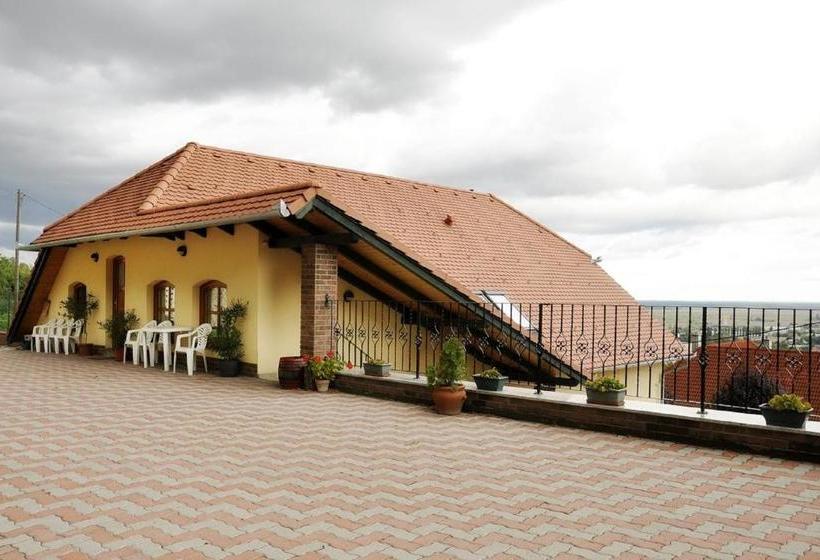 민박 Sárosdi Pince és Panzió