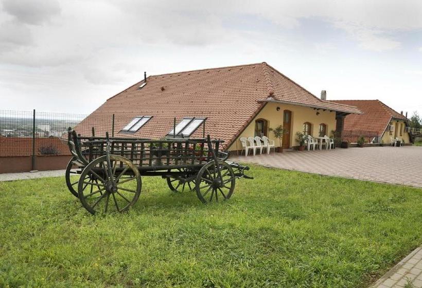 민박 Sárosdi Pince és Panzió