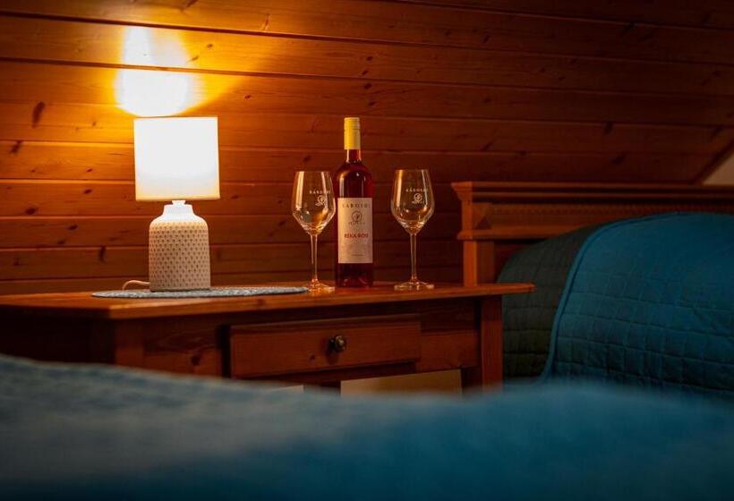 민박 Sárosdi Pince és Panzió