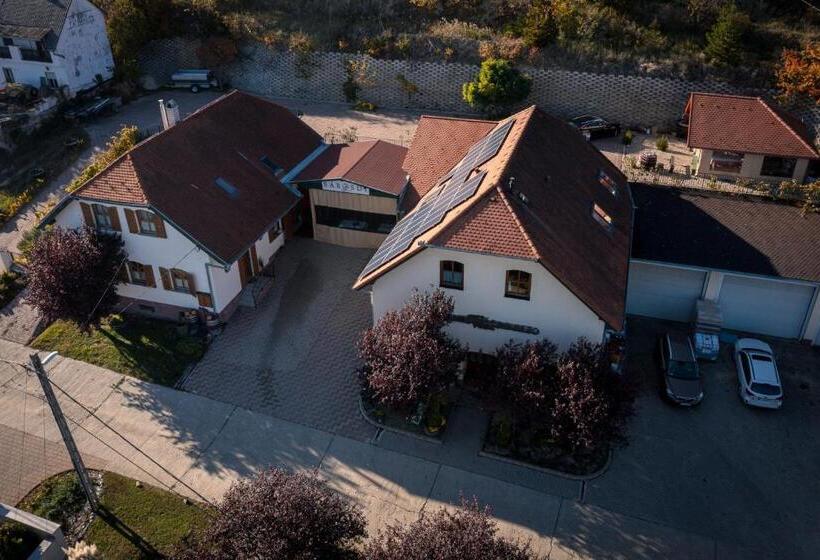 민박 Sárosdi Pince és Panzió