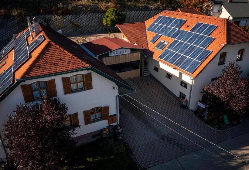 민박 Sárosdi Pince és Panzió