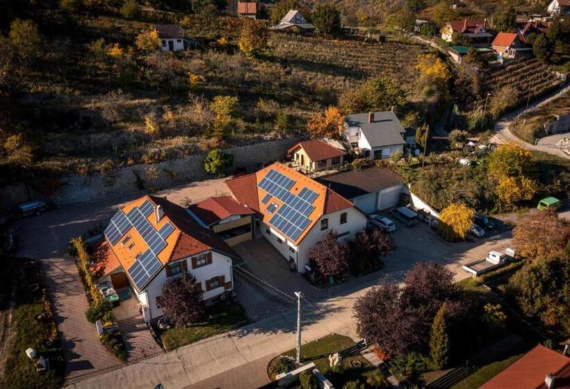 민박 Sárosdi Pince és Panzió