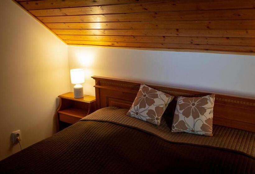 민박 Sárosdi Pince és Panzió