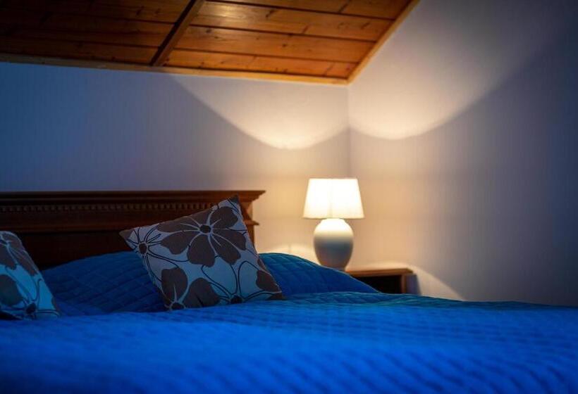 민박 Sárosdi Pince és Panzió