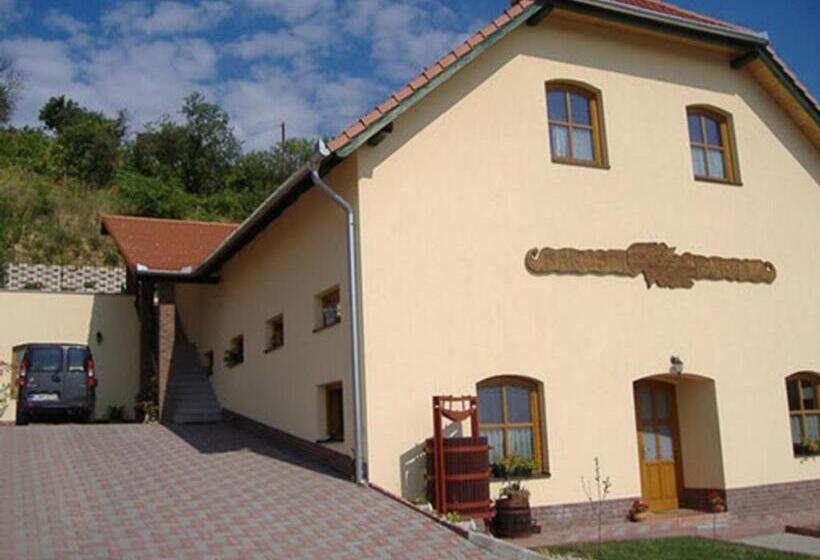 민박 Sárosdi Pince és Panzió