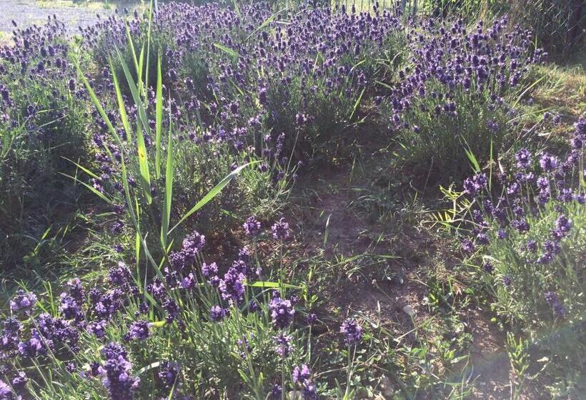 צימר Villa Astoria