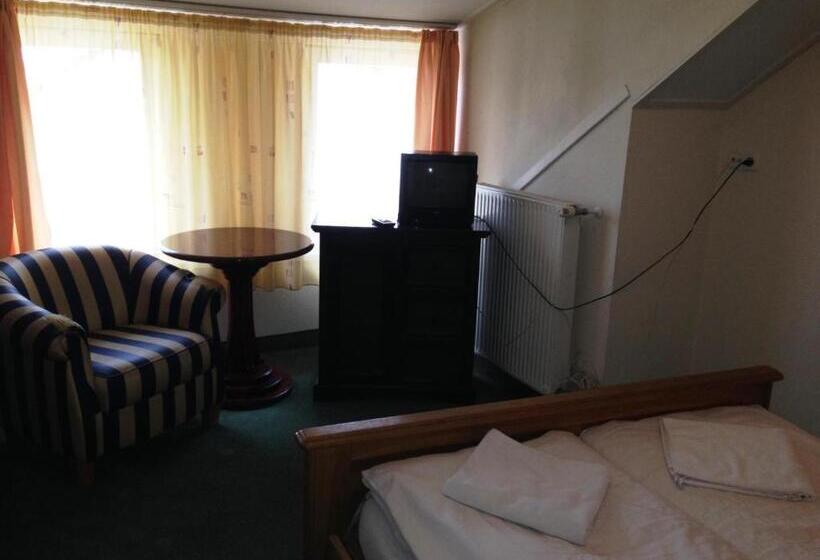 酒店 Alföld Panzio & étterem