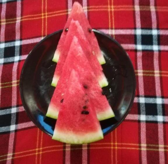 فندق Complex Exotica