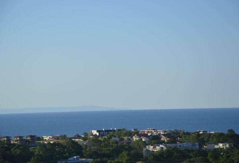 فندق Complex Exotica