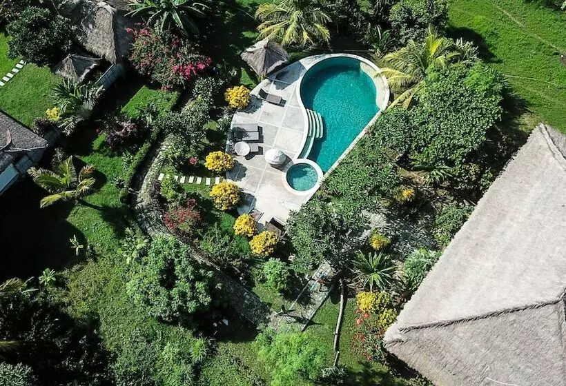 Hotelli Owa Lodge Areguling