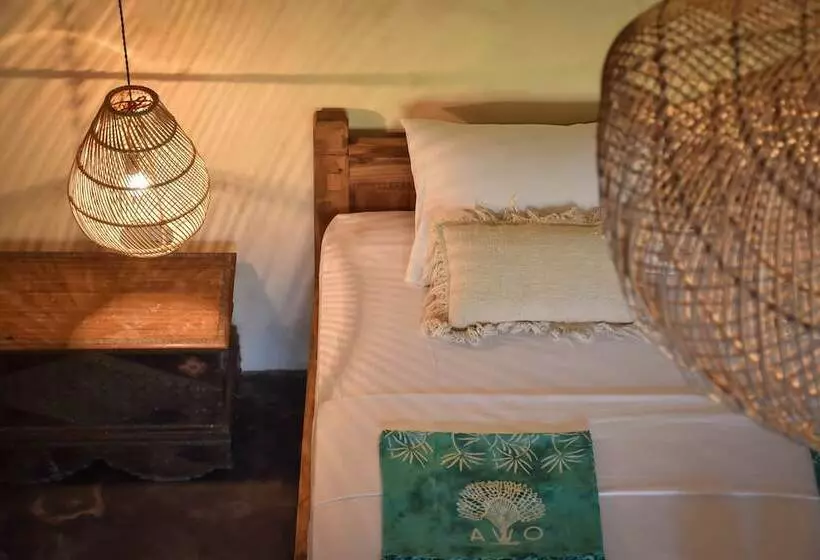 Hotelli Owa Lodge Areguling