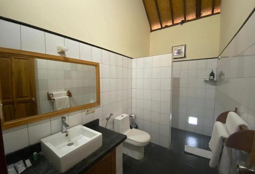 New Starlight Hotel Lovina