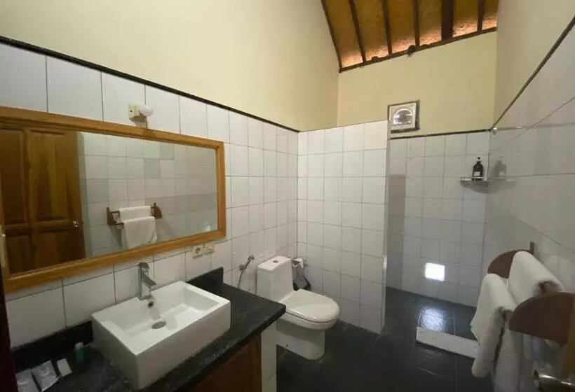 New Starlight Hotel Lovina
