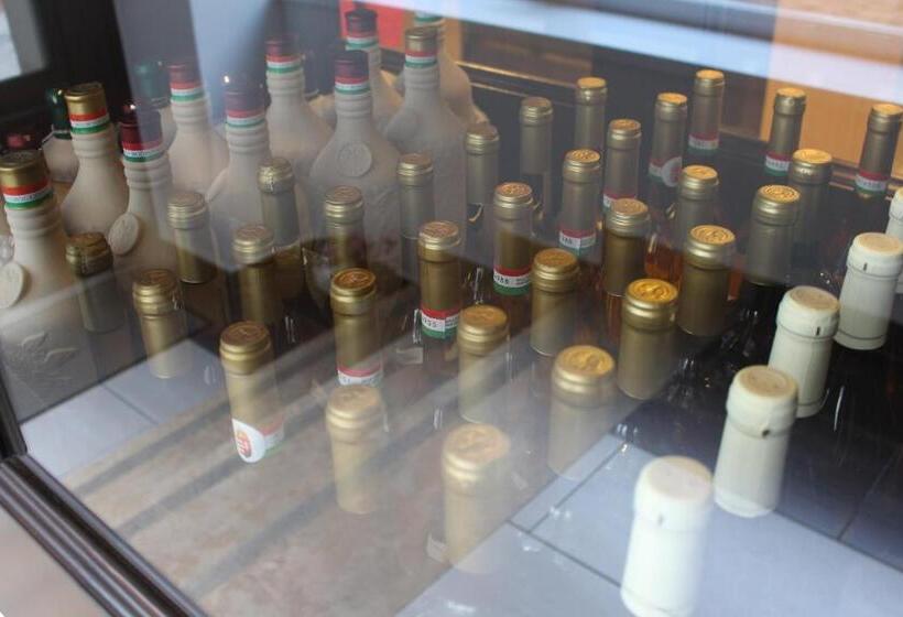 בית מלון כפרי Tokajvár