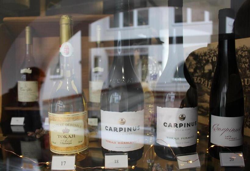 בית מלון כפרי Tokajvár