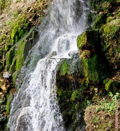 Tókert Szálloda és étterem