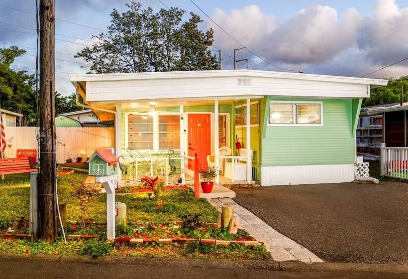 Eclectic Tarpon Springs Home: Bayou Across Street!