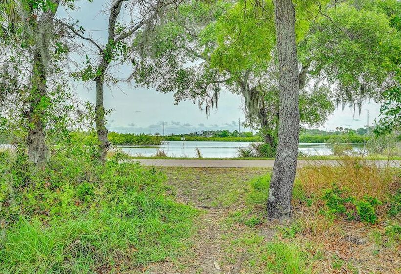 Eclectic Tarpon Springs Home: Bayou Across Street!