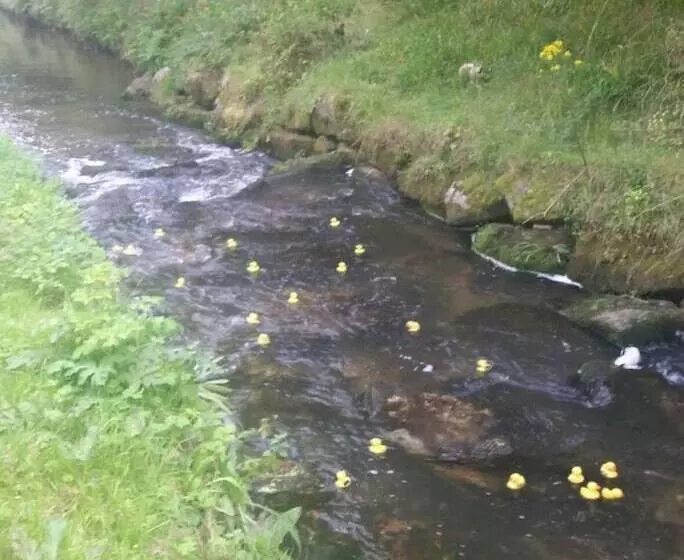 Hotelli Immaculate 2 Bed Lodge In Nr Mevagissey