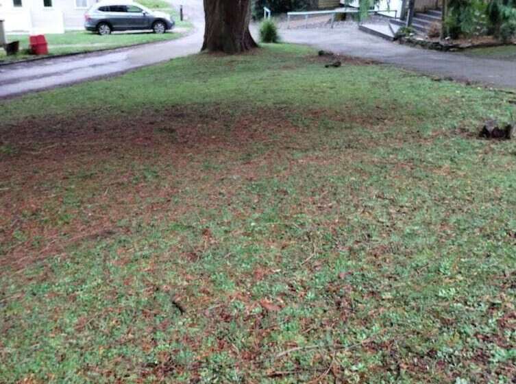 Hotel Immaculate 2 Bed Lodge In Nr Mevagissey