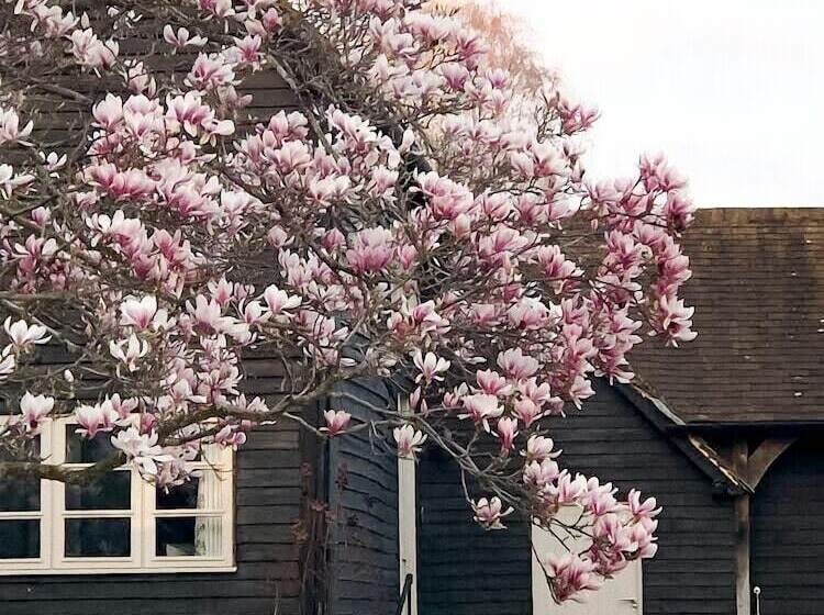 ペンション The Barn Stoaches Farm