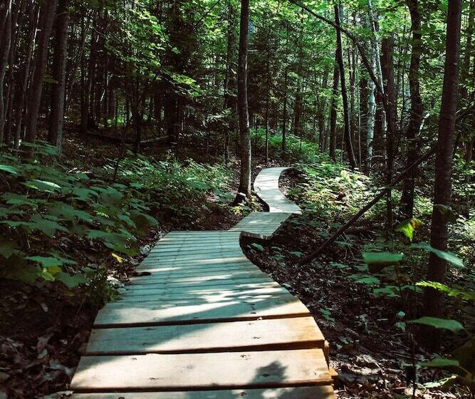 ペンション The Barn Stoaches Farm