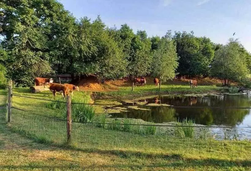 Maaseutuhotelli Boertel Lamperse Hei