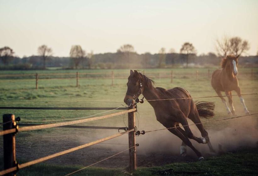 乡村酒店 Boertel Lamperse Hei