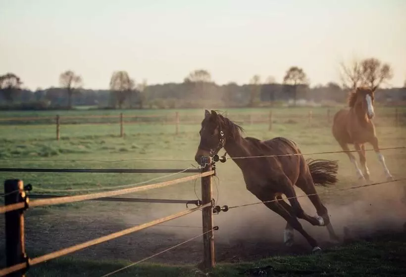 Maaseutuhotelli Boertel Lamperse Hei